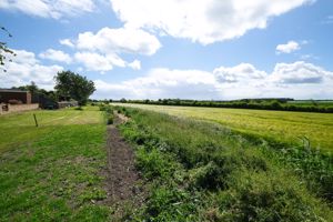 Photo 11- click for photo gallery